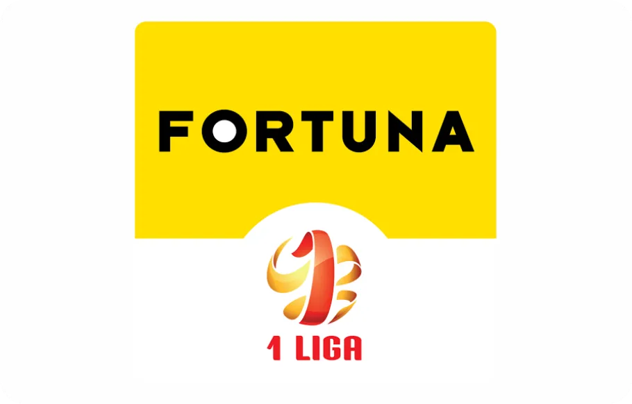Fortuna 1 Liga Poland Football