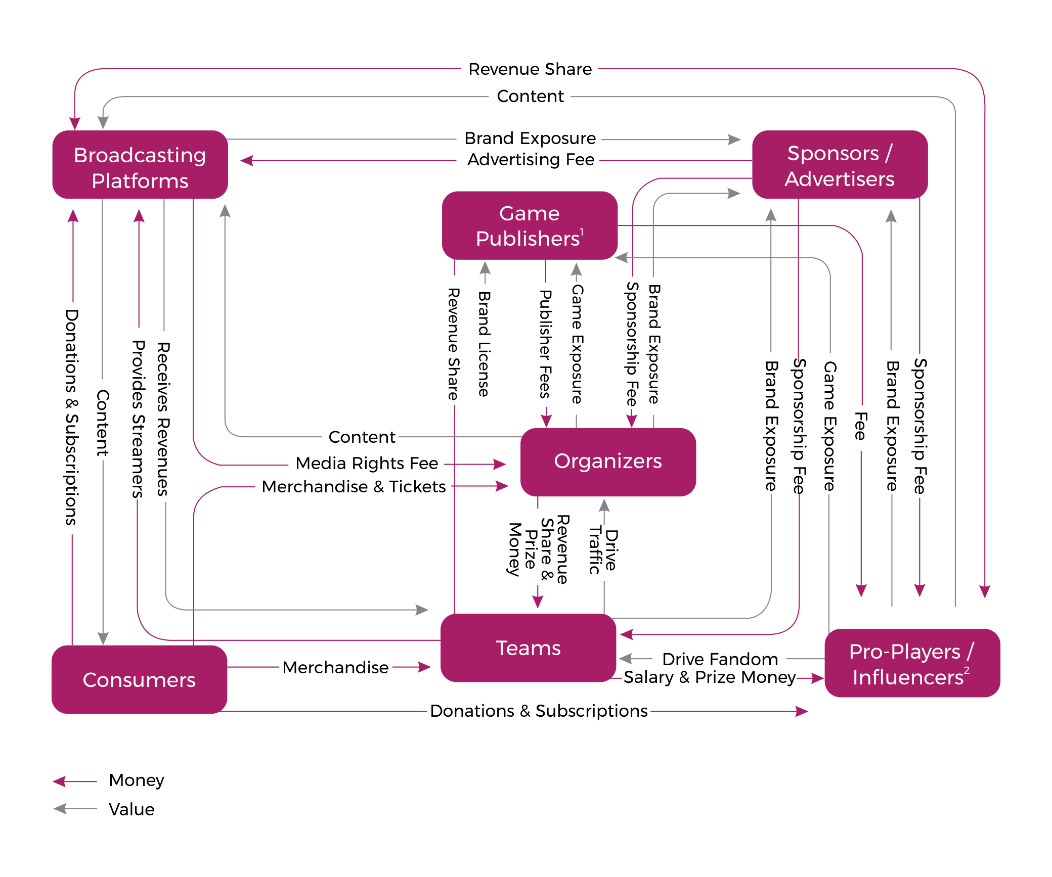 eSports ecosystem