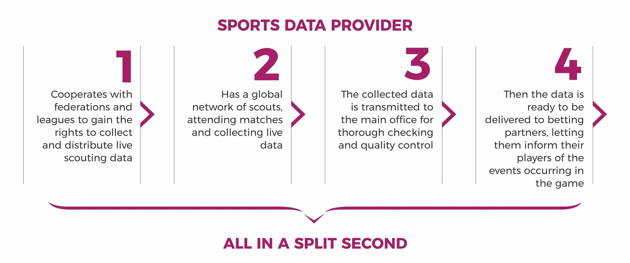 Sports Data Provider Explained